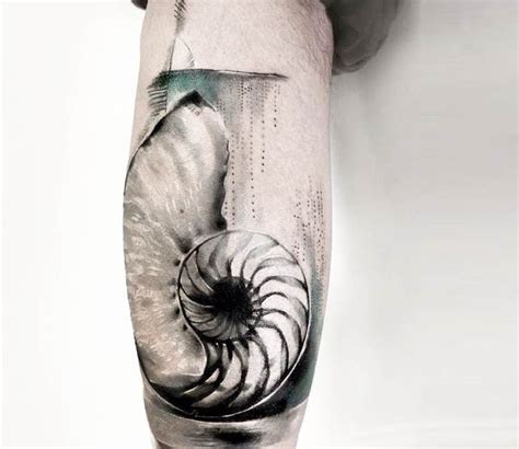 Nautilus Sea Shell Tattoo By Bartt Tattoo Post 19449 Shell Tattoos