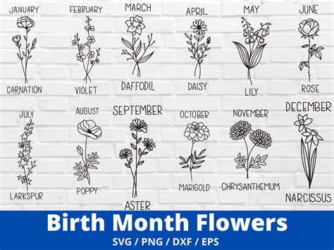 Birth Month Flowers Sister Tattoos Flower Svg Carnations Flower