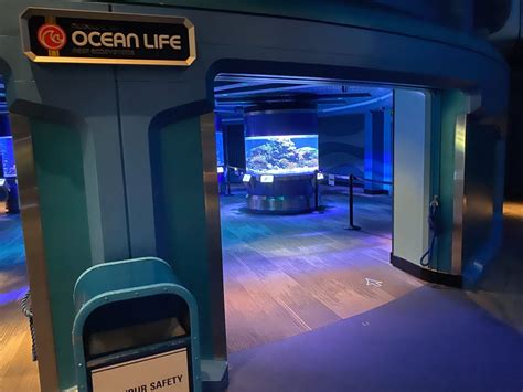 Photos The Seas With Nemo And Friends Reopens At Epcot With Frequent