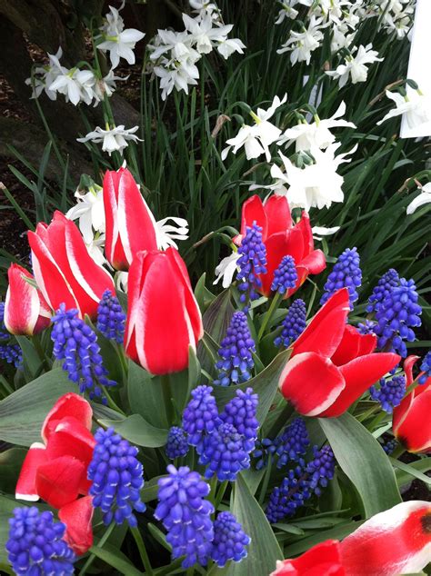 Welcome To The Lounge Blue Flower Arrangements White And Blue