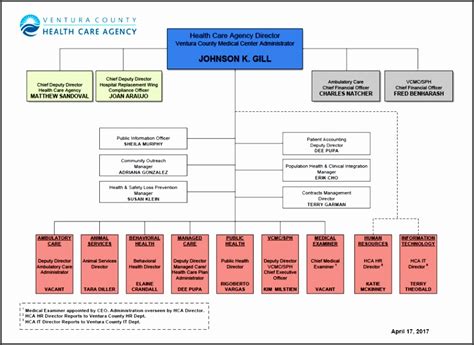 Hospital Organizational Chart SampleTemplatess SampleTemplatess