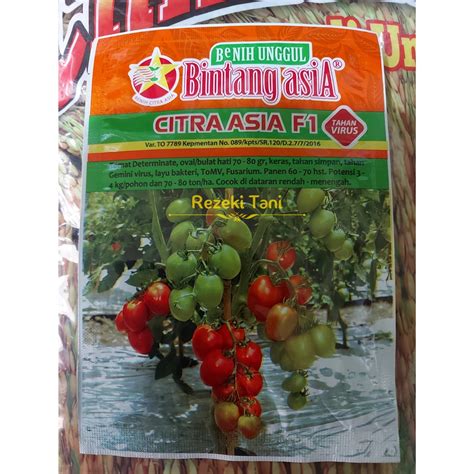 Benih Tomat Citra Asia F Gram Bintang Asia Lazada Indonesia