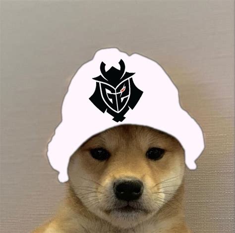 View 17 Dog With Hat Meme R6 Greatcentralpic