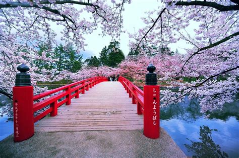 Visit Japan From Late April To Early May Hirosaki Park In Aomori