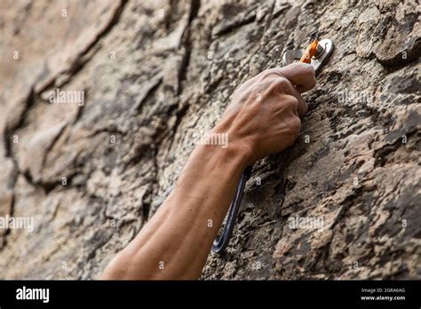 Human Hand Holding Rock Stock Photo Alamy