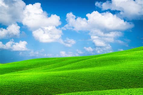 Green Grass Hills Landscape With Blue Sky Summer Stock Photo Download