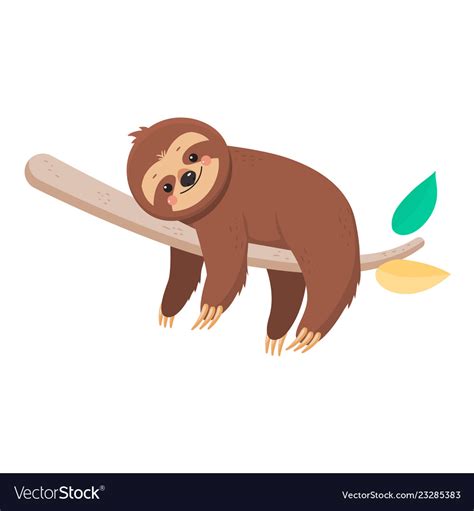 Joyful Cute Cartoon Sloth Hanging On A Branch Vector Image