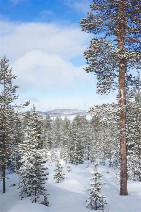 Frozen Lake In Inari Finland Stock Image Image Of White
