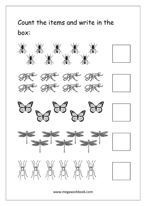 Free Printable Counting Objects Worksheets