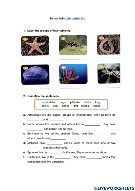 Invertebrate Animals Interactive Activity For Grade 4 Live Worksheets