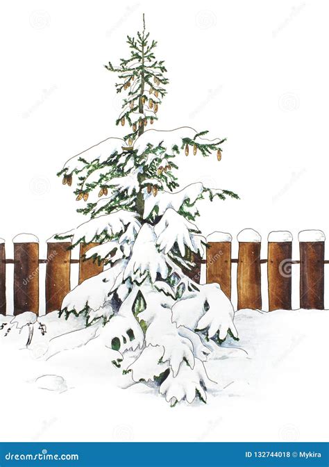 Fir Tree And Snow Hand Sketched Illustration Stock Illustration