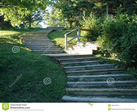 Stairs In Nature Stock Photo Image Of Grass Futur