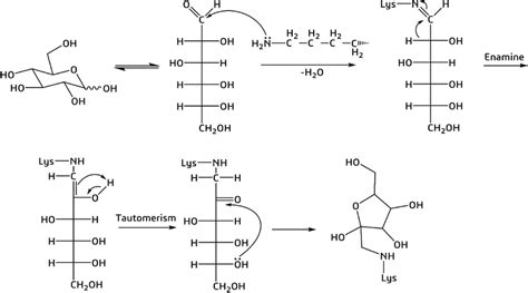 Mechanism Of Non Enzymatic Glycation Of A Lysine Amino Acid Residue By