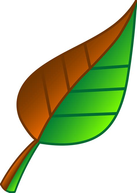 Free Leaf Clipart Images 20 Free Cliparts Download Images On