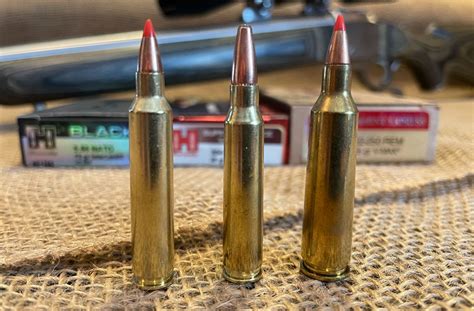 204 Ruger Ammo Review Tiny And Fast