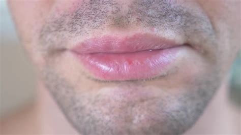 Why Do Guys Lick Their Lips Telegraph