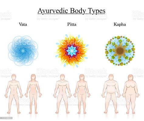 Body Constitution Types Ayurvedic Dosha Symbols Vata Pitta Kapha With