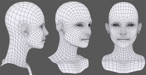 Generic Female Head Topology Some Face Details Missing Good Tutorial At The Source Artist