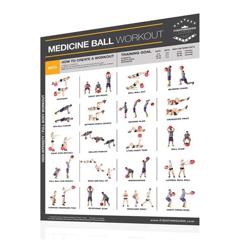 Productive Fitness Fighthrough Series Medicine Ball Exercises