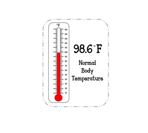 What Is Normal Body Temperature