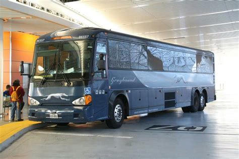 Greyhound Mci Greyhound Bus Bus Terminal Bus Coach Coaches Classic