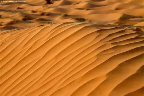 Sahara Desert Ksar Ghilane Tunisia Tunisie Texture
