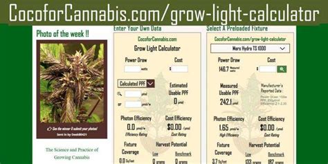 Cannabis Grow Guide Coco For Cannabis Science And Practice