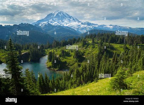 Usa Washington State Above Eunice Lake Looking Toward Mt Rainier