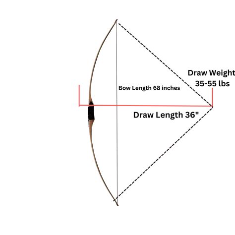 Sas Pioneer Longbow Traditional Wood In Depth Review Archery Explorer