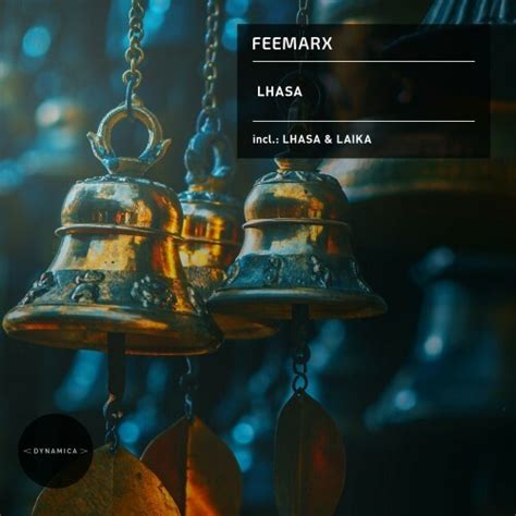 Feemarx Lhasa 2022 MusicEffect Ru Electronic Music