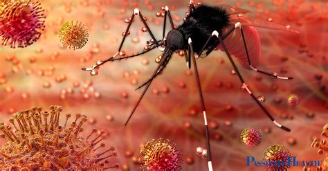 ¡cuidado Con El Virus Del Zika Passport Health