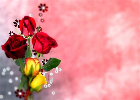 Free Download Red Rose Flower Hd Wallpaper Android Wallpapers Rose