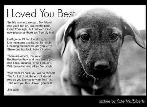 Dog Grief Pet Loss Grief Dog Loss Quotes Dog Quotes Love I Love