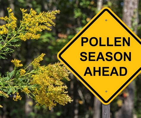A Is For Apriland Allergies What To Do When Allergens Attack