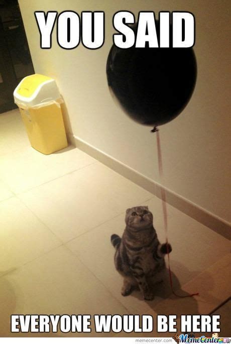 Sad Birthday Cat By Silentscream Meme Center