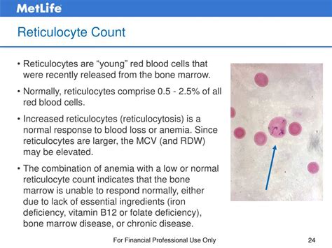 Ppt Understanding Complete Blood Counts The Abcs Of Cbcs Powerpoint