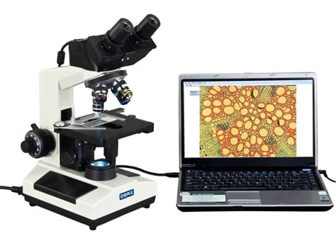 5 Best Digital Microscopes Reviews Updated 2020 Gigoptix