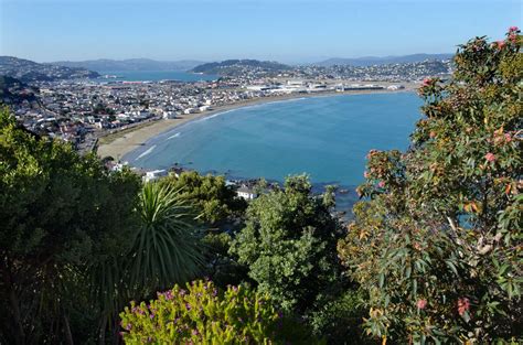 A Guide To The 11 Best Beaches In Wellington New Zealand