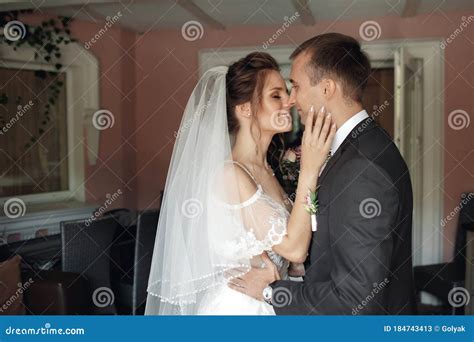 gelukkig paar uit liefde bruid en bruidegom knuffel en kijk naar elkaar stock afbeelding