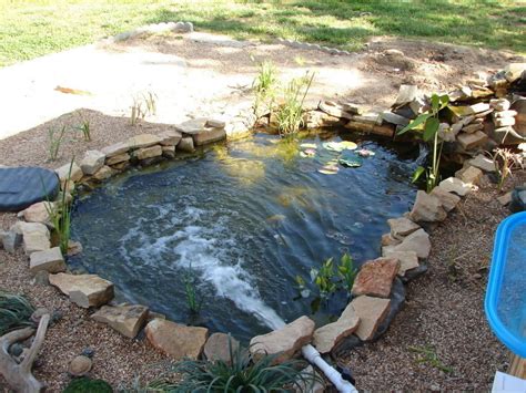 We did not find results for: How to Build a Pond