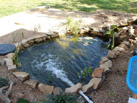 Incorporate an ozone system for ultimate water. How to Build a Pond