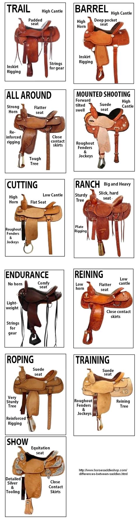 Western Saddle Comparisons Horse Facts Horse Tack Horse Saddles