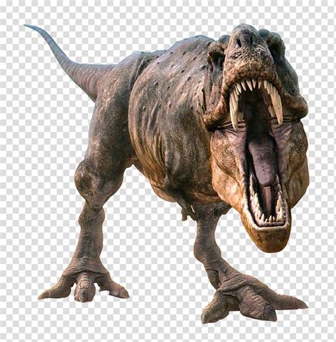 Leukste kinderliedjes tijdelijk kleurplaat t rex nieuw 17 elegant printable dinosaur. Dino Trex Png & Free Dino Trex.png Transparent Images ...