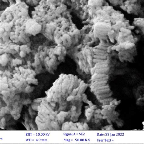 Sem Images Of Iron Oxide Nps Made The Simple Chemical Way By Using