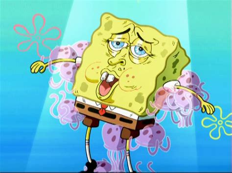 23 Spongebob Reactions For Everyday Situations Spongebob Faces Funny