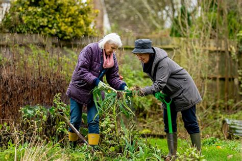 Gardening For Wellbeing The Derbyshire Benevolent Trust
