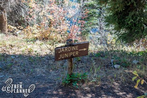 Jardine Juniper Tree Logan Canyon Utah The Trek Planner