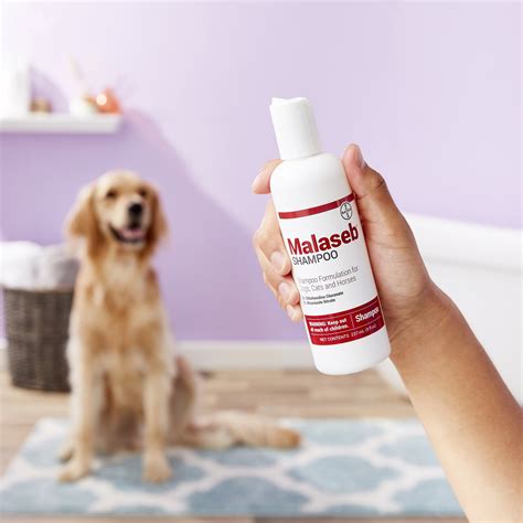 Malaseb Medicated Shampoo For Dogs And Cats 8 Oz Bottle