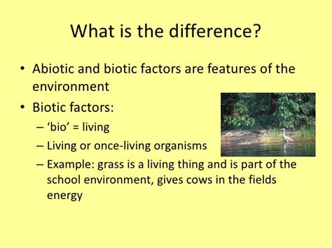 The examples of the abiotic factors are sunlight, the wind, clouds, water, rocks, energy, temperature, soil, etc. Abiotic and biotic factors