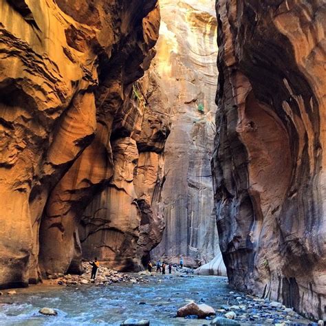 Zion National Park Narrows Hike What To Expect Hiking The Narrows Zion National Park The